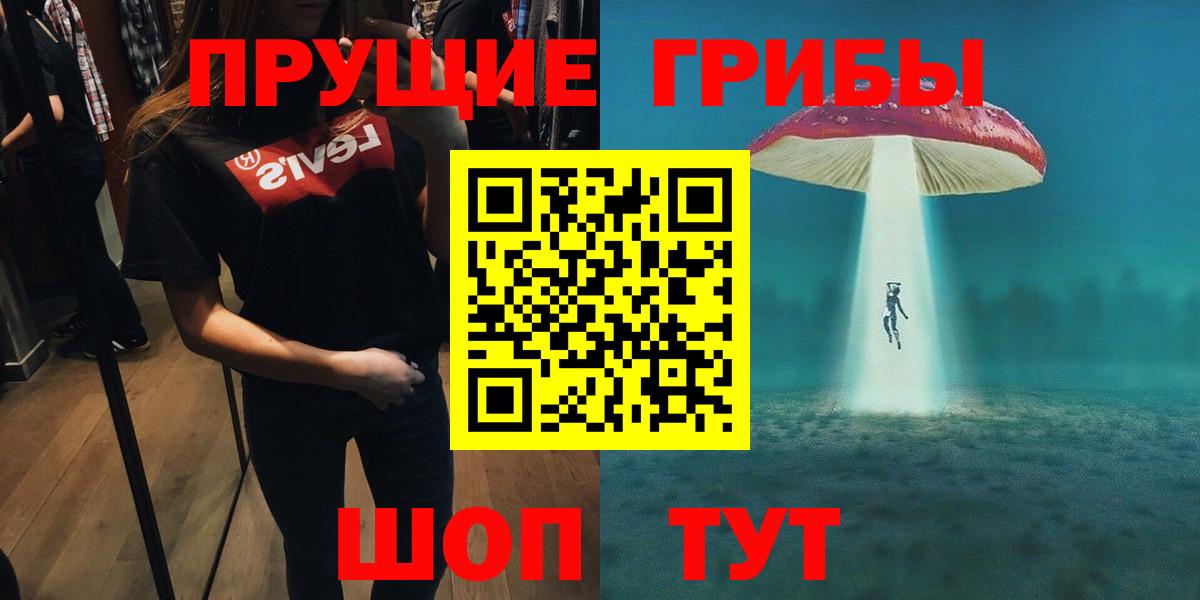 Псилоцибиновые грибы Psilocybe Первоуральск